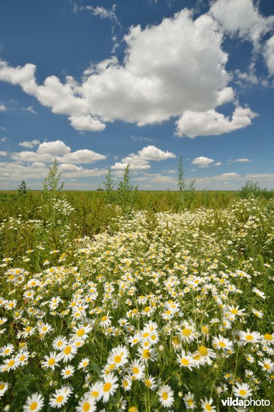 Hortobágy Nationaal Park