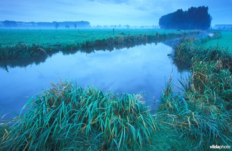 Scherenmeersen