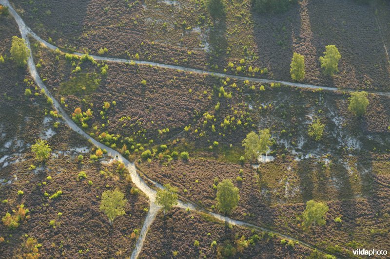 Natuurreservaat Molenheide