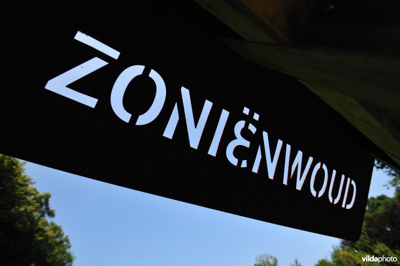 Zoniënwoud