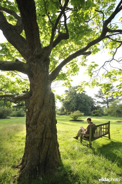 Rollin leest een boek