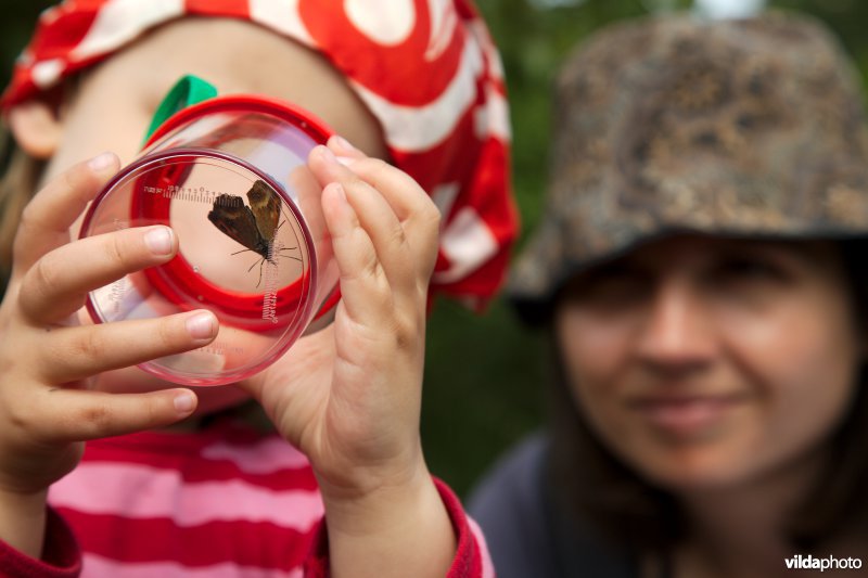Meisje bekijkt een vlinder
