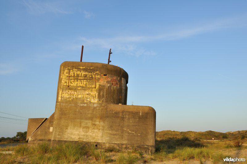 Bunker in de Cosmos duinen