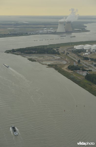 Zeeschelde in de haven van Antwerpen