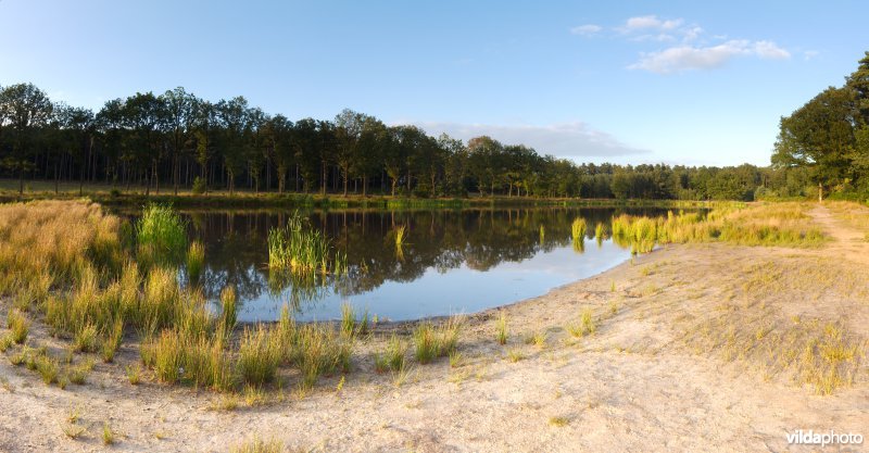 Heringerichte vijver