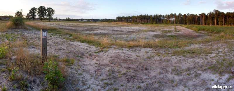 Wandelpad door een geplagde zone