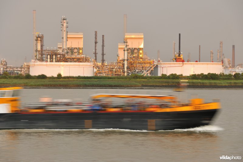 Vrachtboot op de Schelde