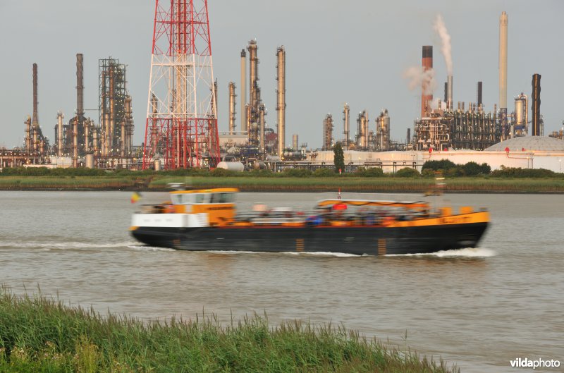 Vrachtboot op de Schelde