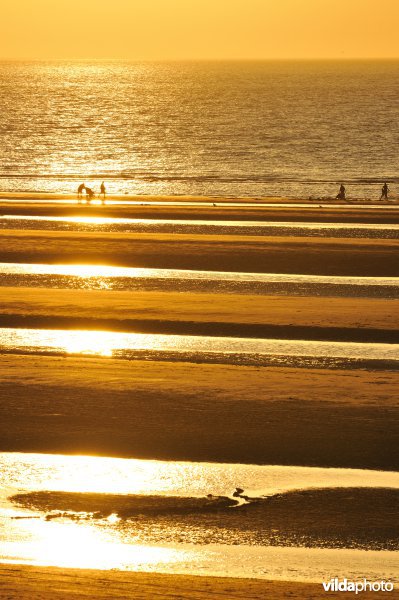 Strand van Sint-Idesbald