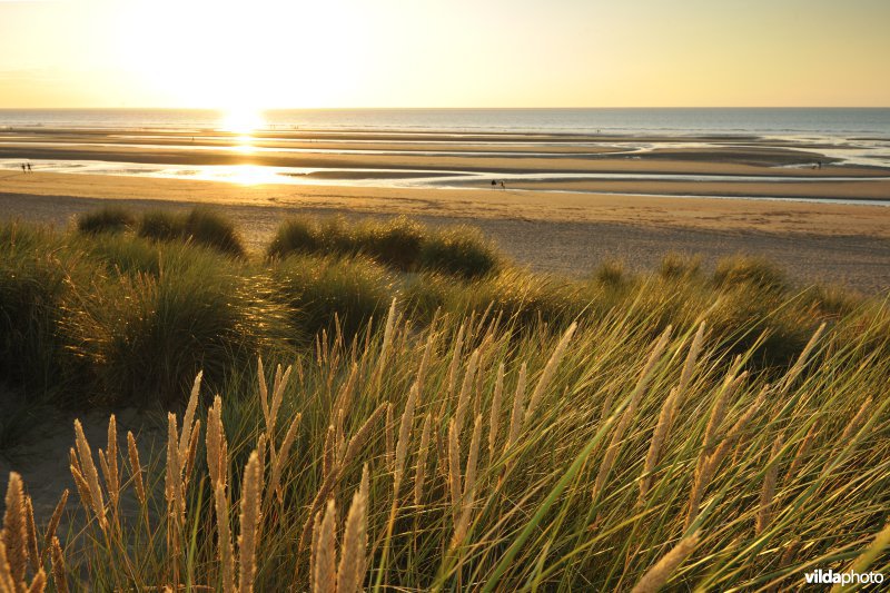 Strand van Sint-Idesbald