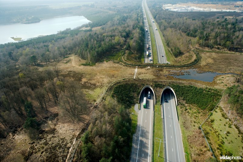 Ecoduct Kikbeek in de Mechelse heide