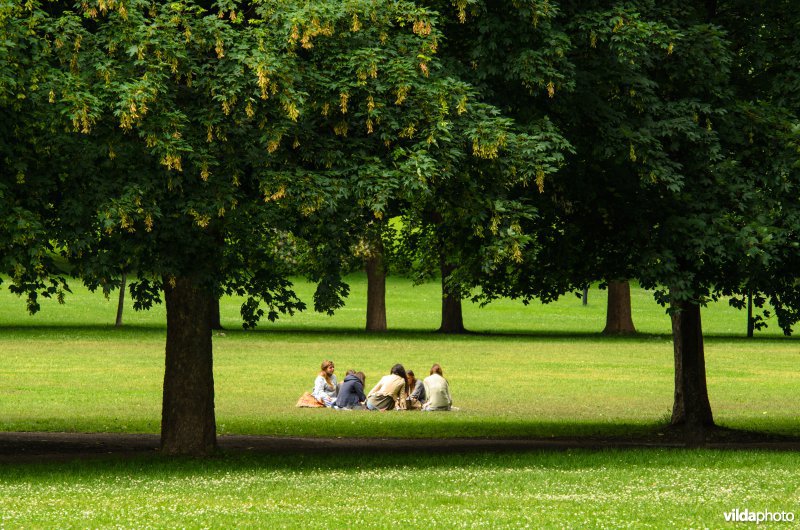 Gezin picknickt in een park