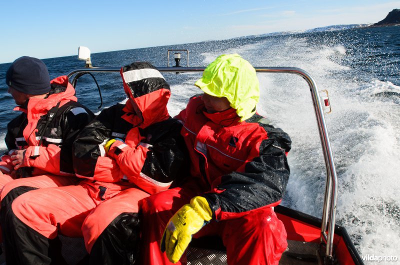 Vogels kijken in een zodiac