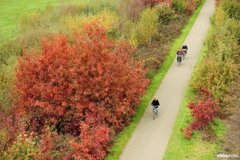 Fietsers op het Bels Lijntje