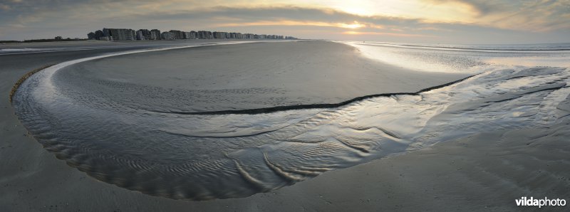 Strand van Sint-Idesbald