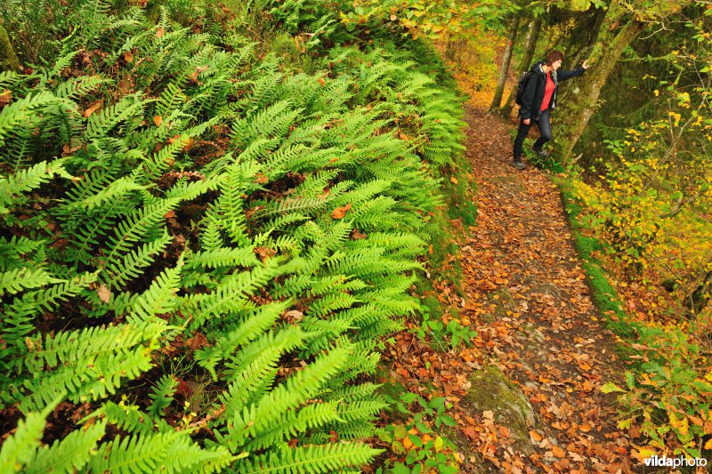 Vallei van de Ourthe