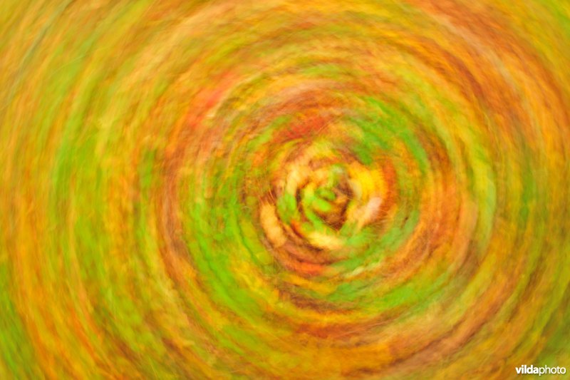 Herfstkleuren