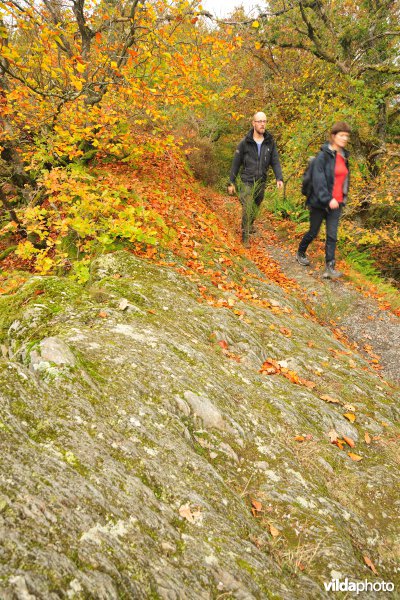 Vallei van de Ourthe