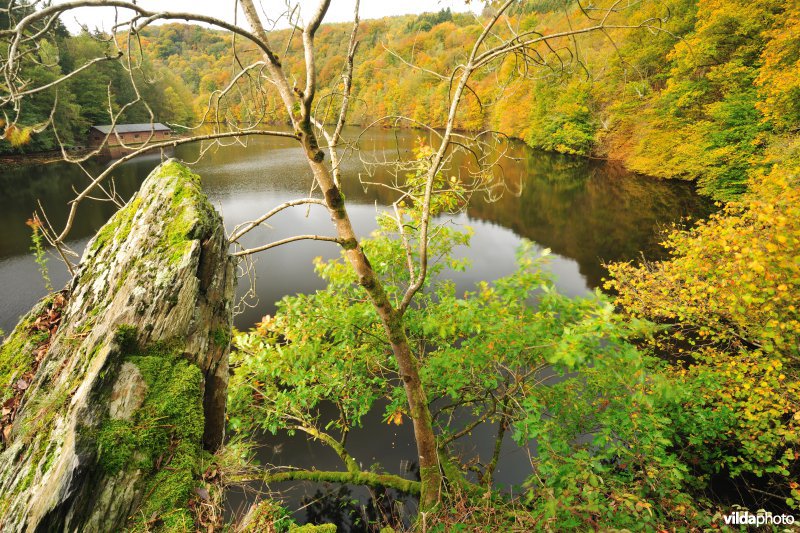 Stuwmeer van Nisramont