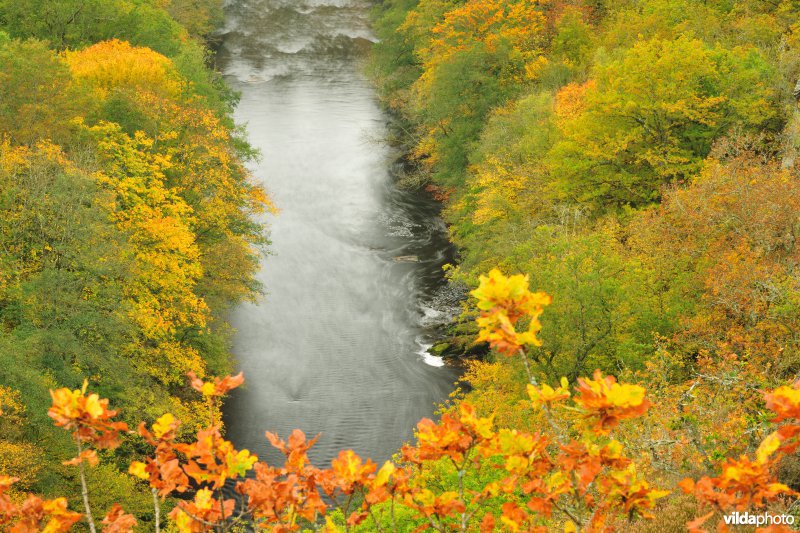 Vallei van de Ourthe