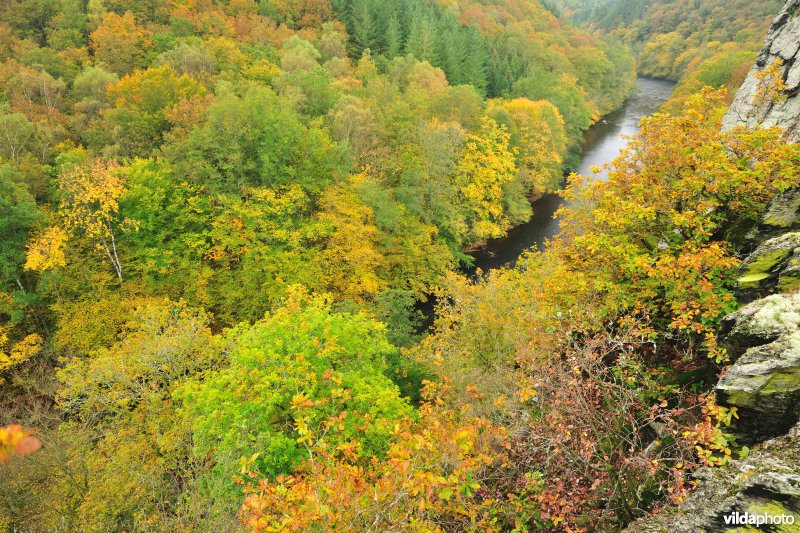 Vallei van de Ourthe