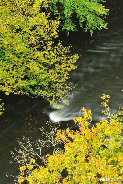 Vallei van de Ourthe