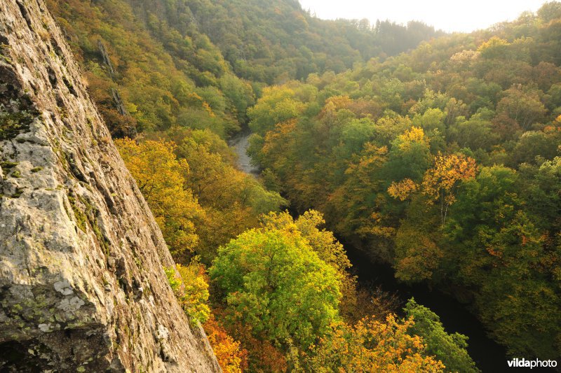 Vallei van de Ourthe