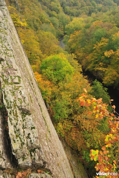 Vallei van de Ourthe