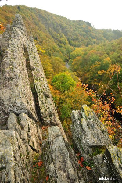 Vallei van de Ourthe