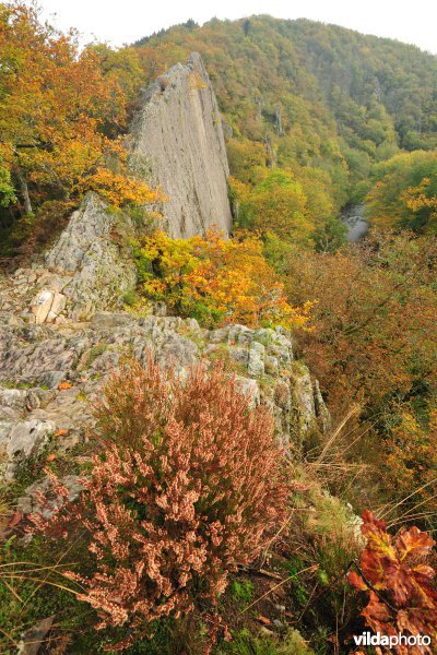 Vallei van de Ourthe