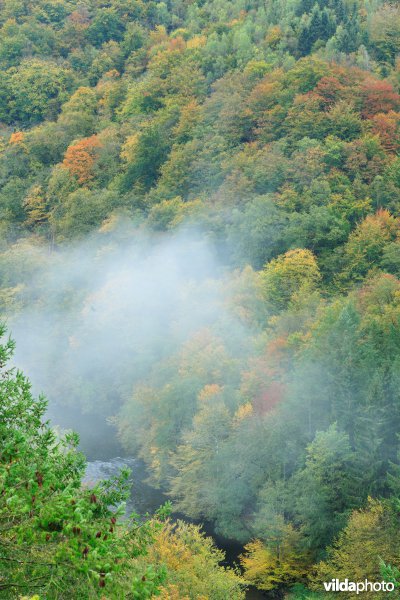 Vallei van de Ourthe