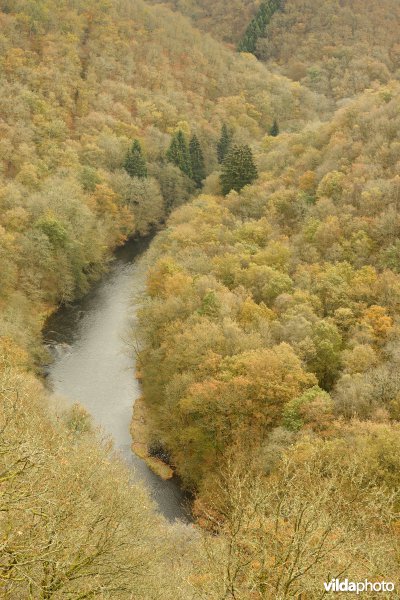 Vallei van de Ourthe