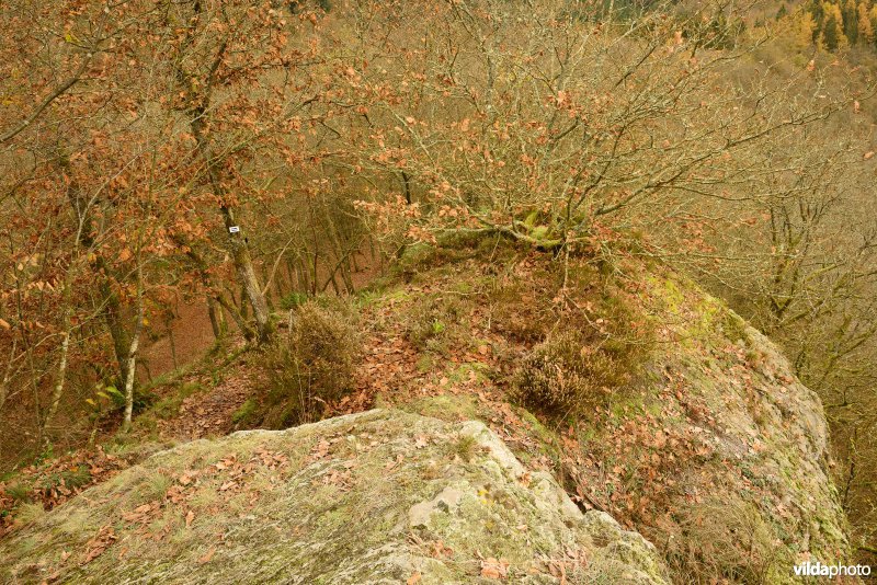 Vallei van de Ourthe