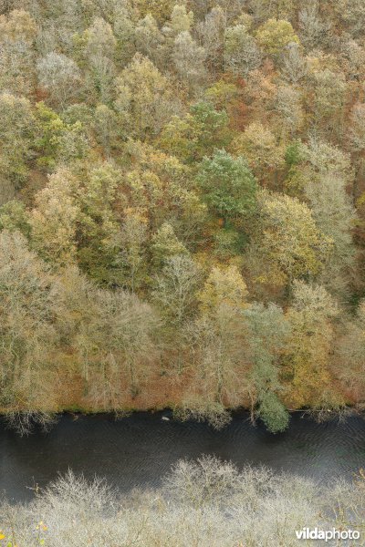 Vallei van de Ourthe