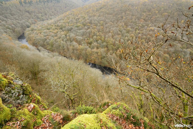 Vallei van de Ourthe