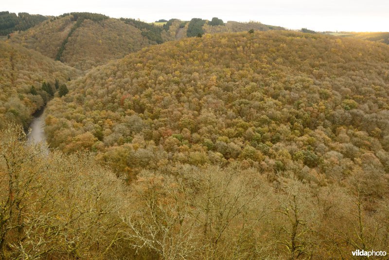 Vallei van de Ourthe