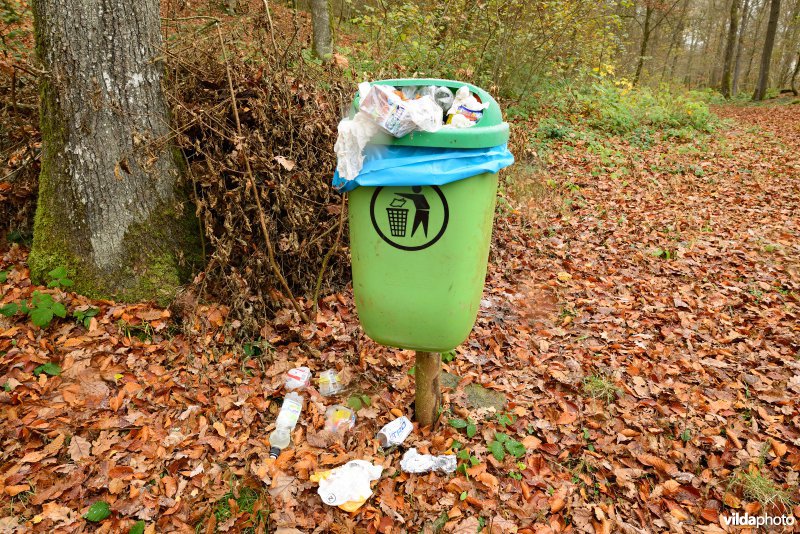 Vuilbak in het bos