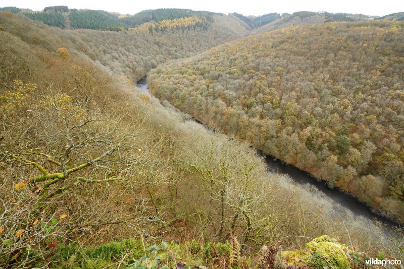 Vallei van de Ourthe