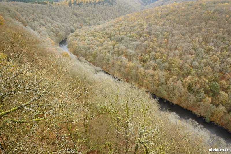 Vallei van de Ourthe