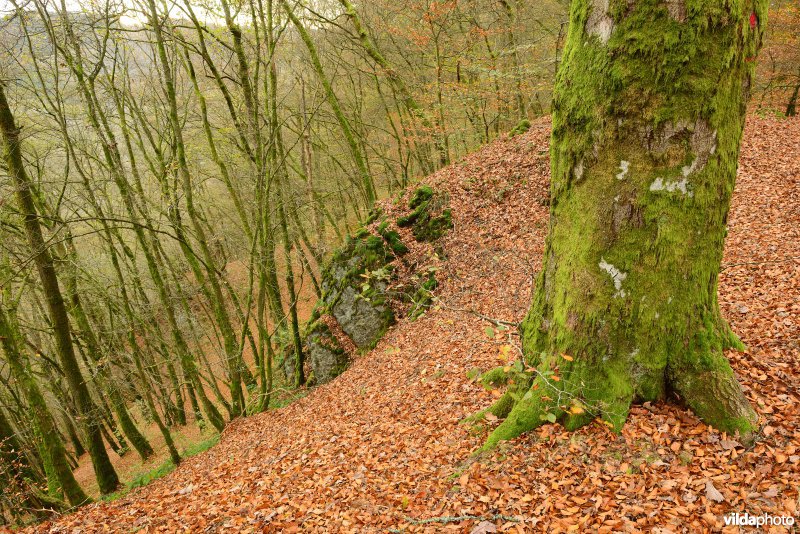 Vallei van de Ourthe