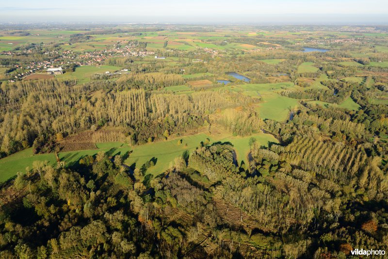 Natuurreservaat de Doode Bemde