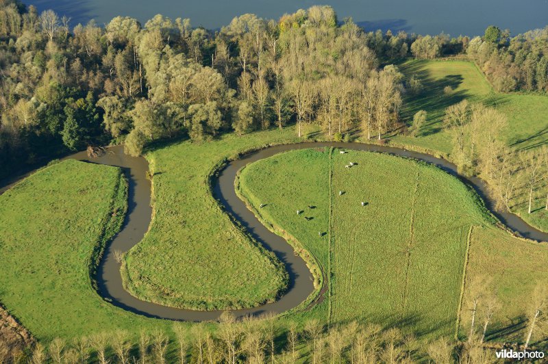 Natuurreservaat de Doode Bemde