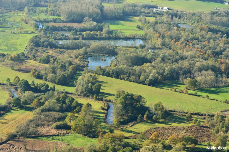 Natuurreservaat de Doode Bemde