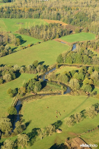 Natuurreservaat de Doode Bemde