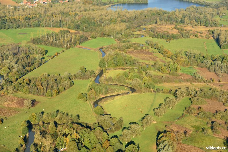 Natuurreservaat de Doode Bemde