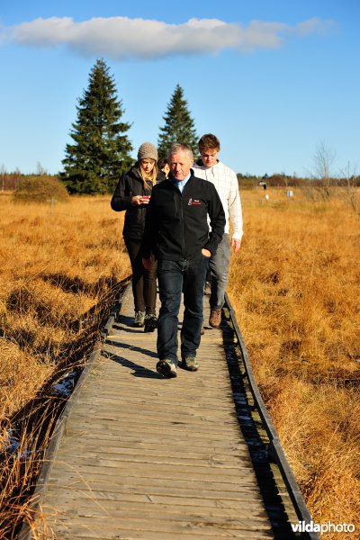 Wandelen in de Hoge Venen
