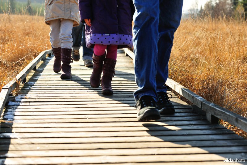 Wandelen in de Hoge Venen