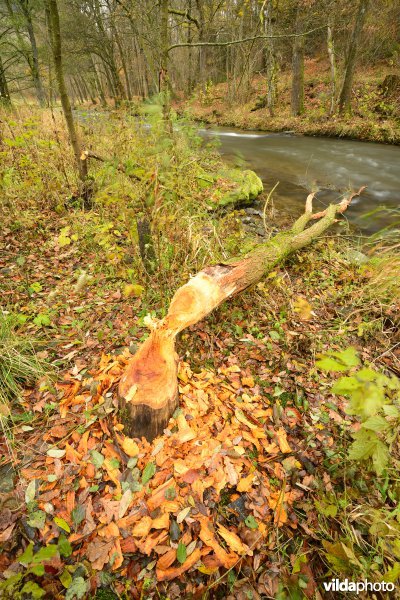 Vallei van de Ourthe