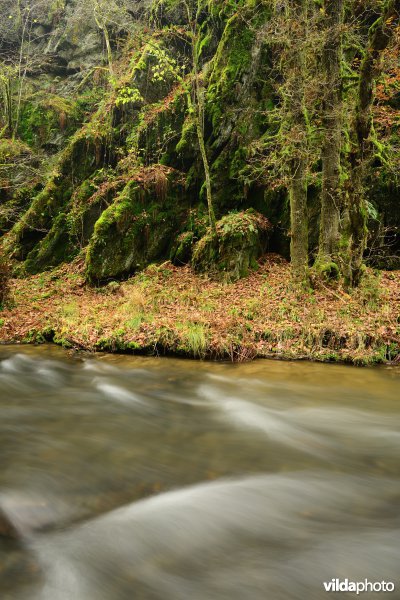 Vallei van de Ourthe
