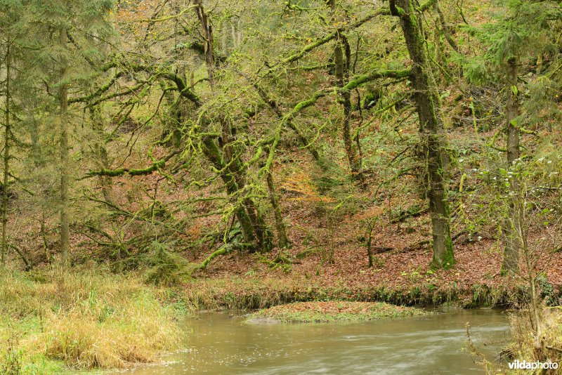 Vallei van de Ourthe